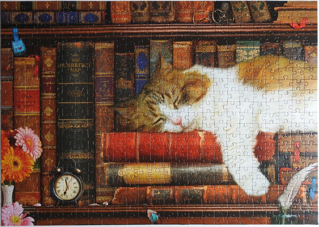 A ginger and white cat sleeping on top of antique books in a library setting.
