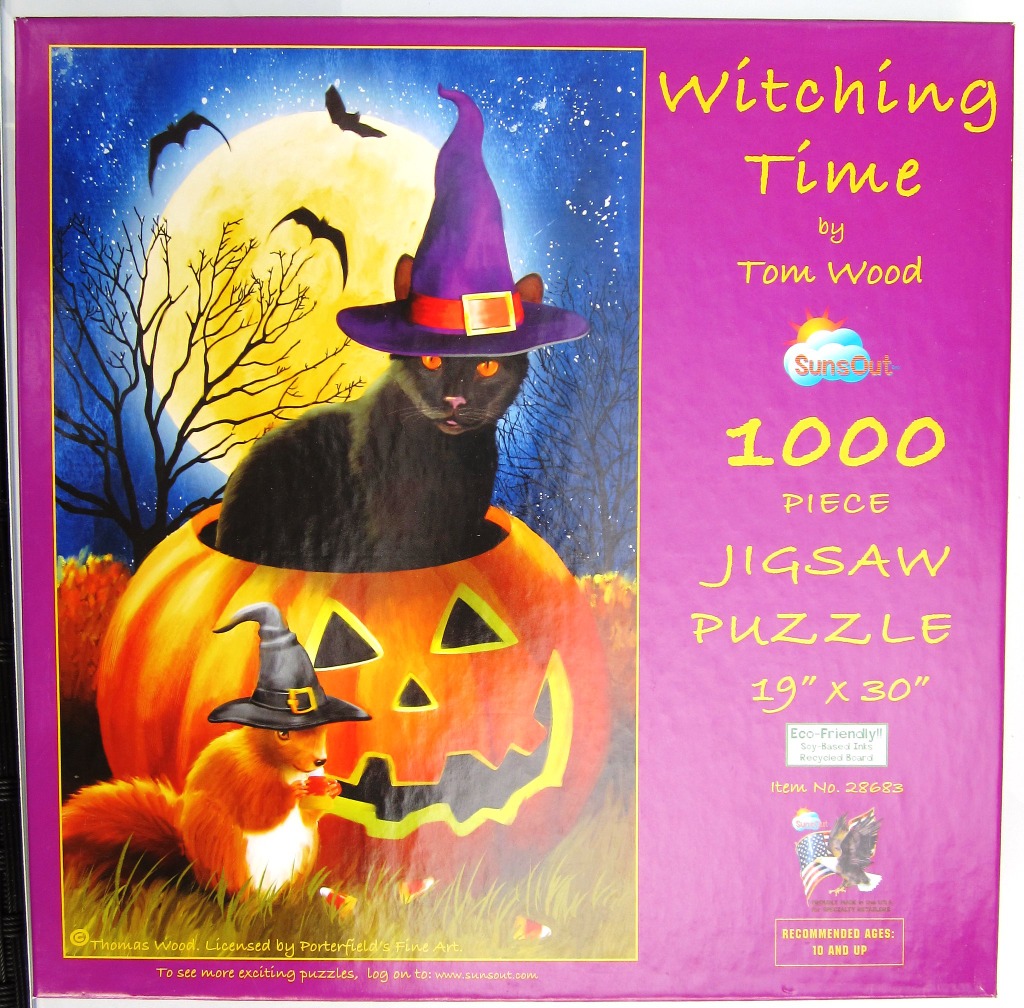 A black cat in a witch hat sitting inside a jack-o'-lantern with a squirrel in a witch hat in the foreground.