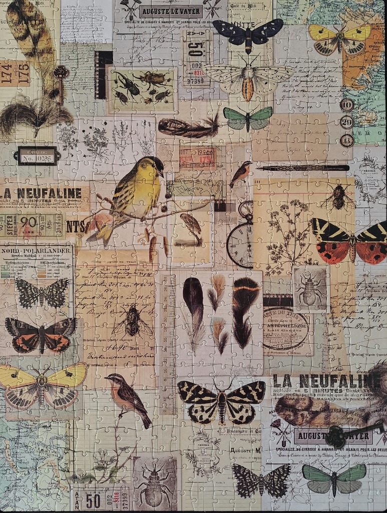 A vintage-style collage featuring moths, birds, insects, feathers, old maps, and French advertisement clippings.