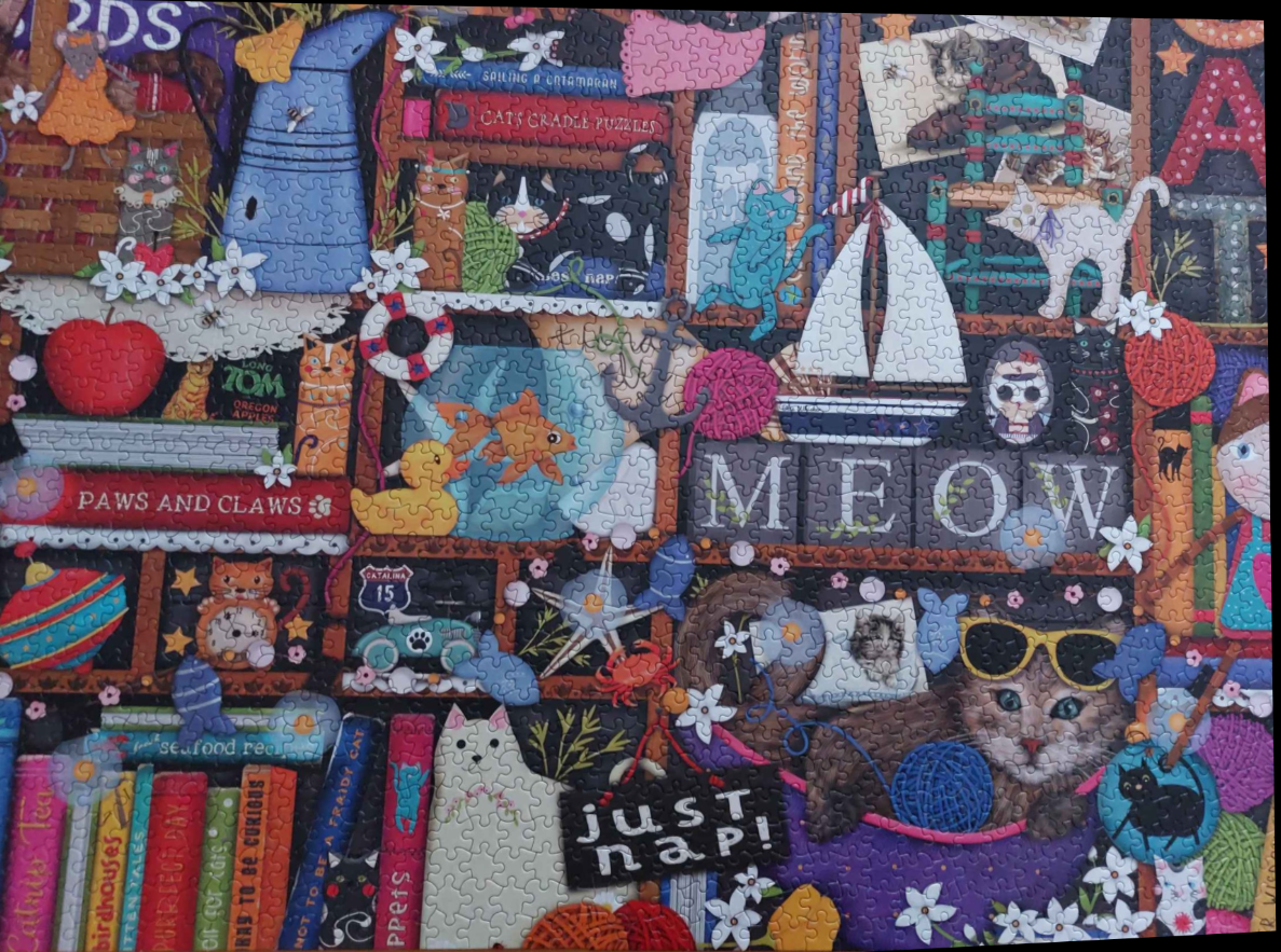 A whimsical illustration packed with cats, books, and nautical items on wooden shelves.