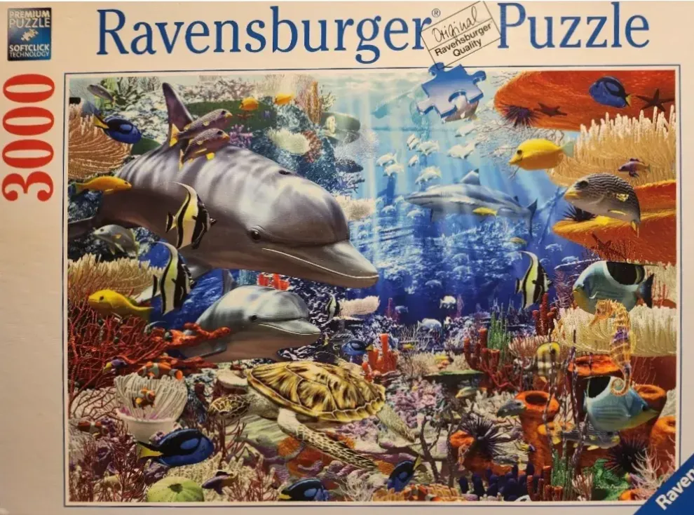 Underwater coral reef scene featuring dolphins, a sea turtle, and various tropical fish