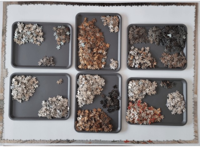 A top-down view of six grey trays containing a wide variety of small, multi-colored puzzle fragments.