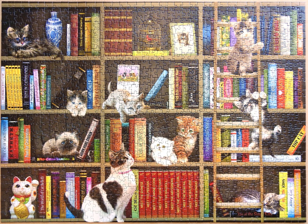 A cozy bookshelf filled with colorful books and playful kittens in various positions.