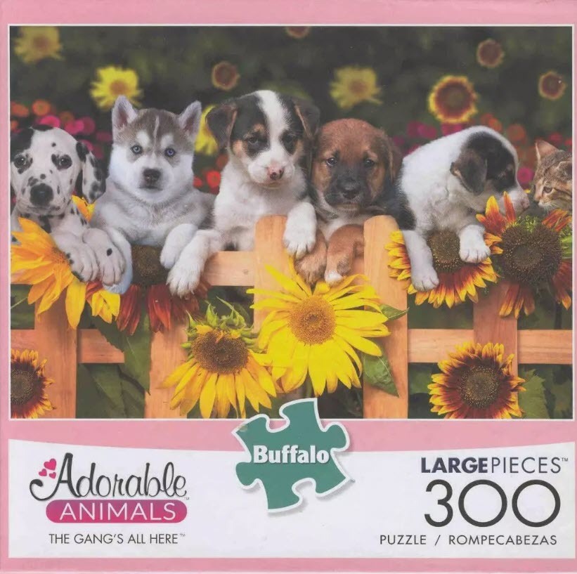 Five puppies and a kitten lined up behind a wooden fence with blooming sunflowers in the background.