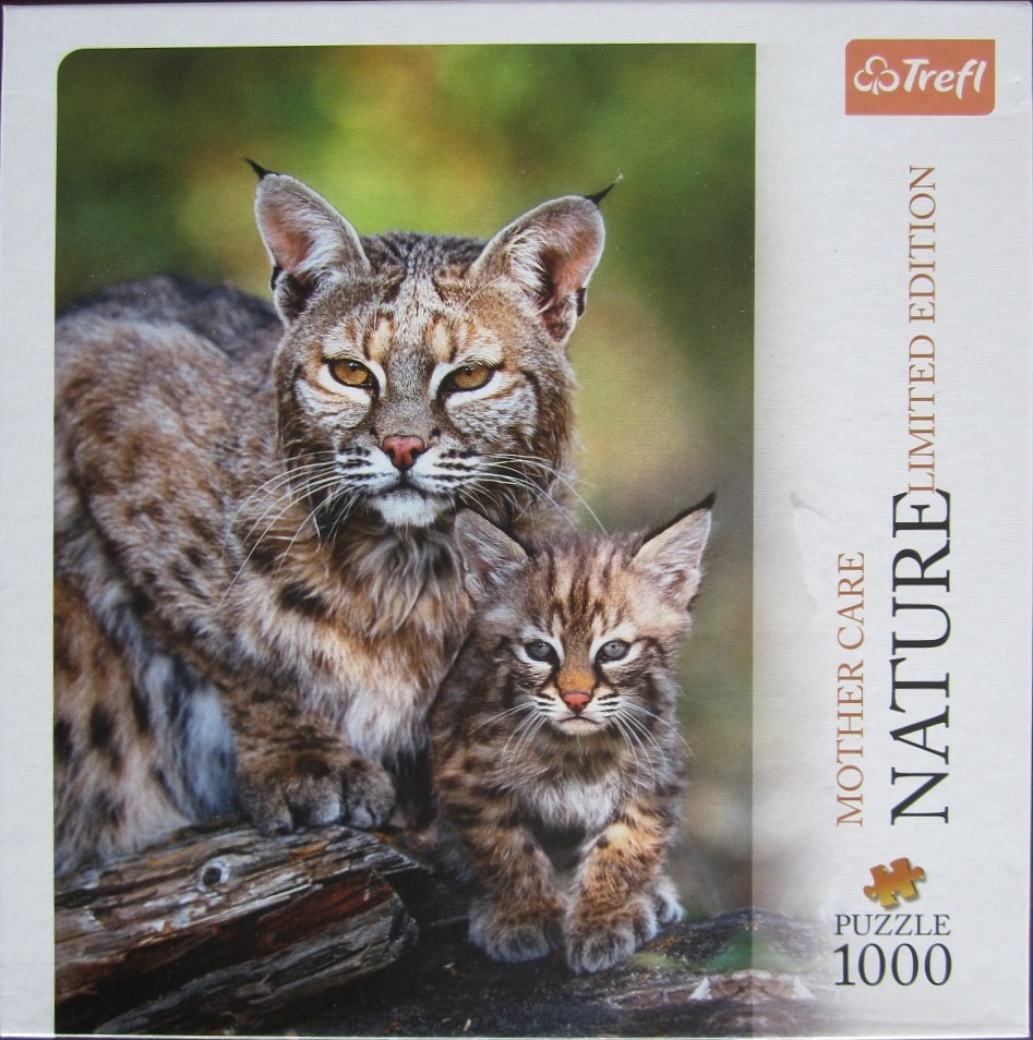 A mother bobcat and her kitten sitting on a log in a forest setting.