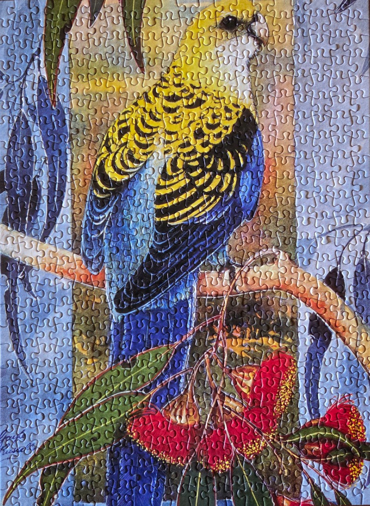 A watercolor painting of a Port Lincoln Parrot perched on a flowering eucalyptus branch.