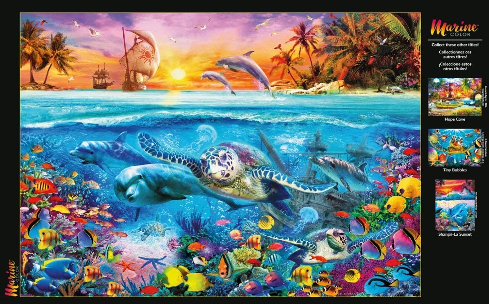 A split-view illustration showing dolphins and sea turtles swimming in a vibrant coral reef below a tropical sunset.