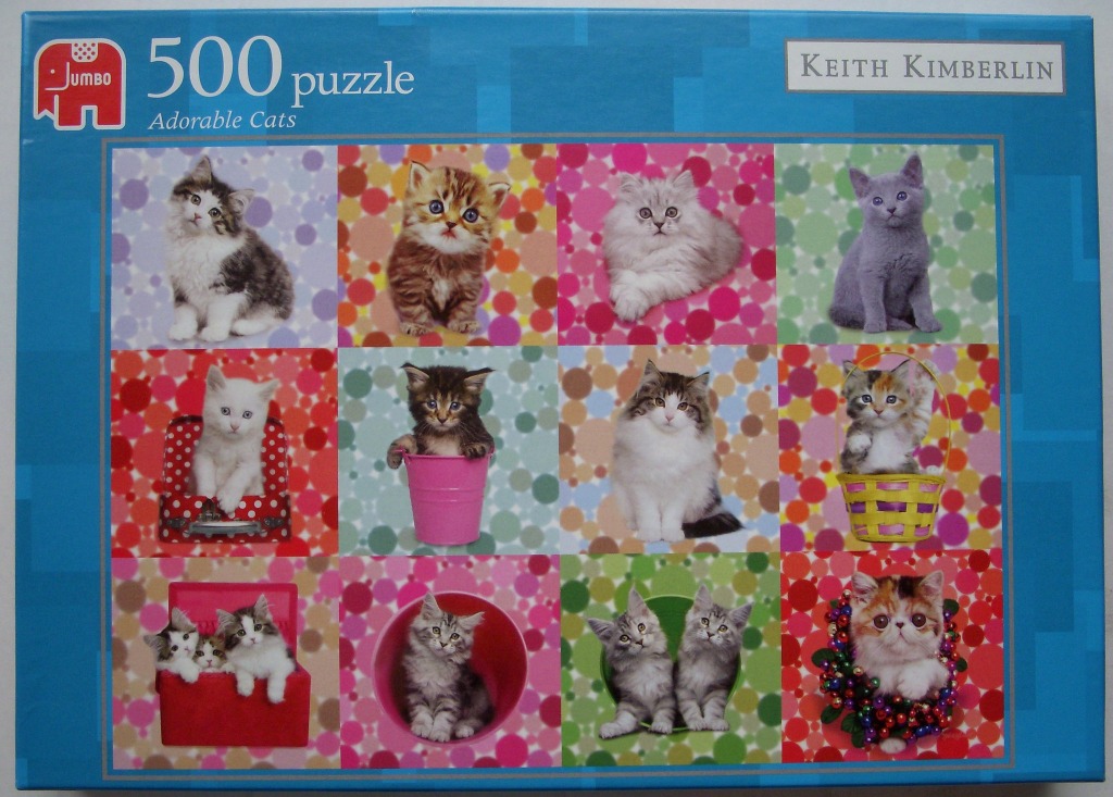 A collage of 12 photographs of cute kittens against colorful polka-dot backgrounds.