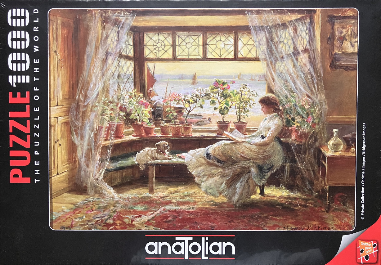 An oil painting of a woman reading in a sunlit bay window, with a small dog and potted plants, overlooking a harbor.