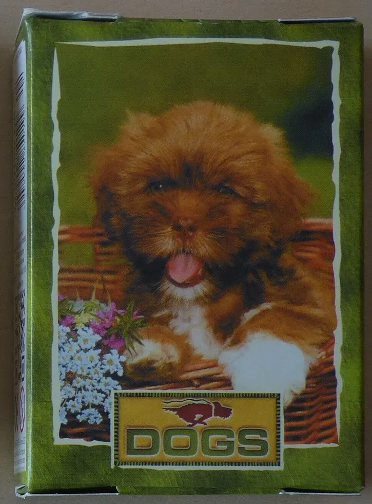 A close-up portrait of a fluffy brown puppy sitting in a wicker basket with flowers.