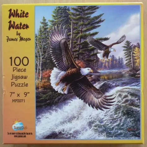 Two bald eagles flying over a turbulent river in a forested landscape