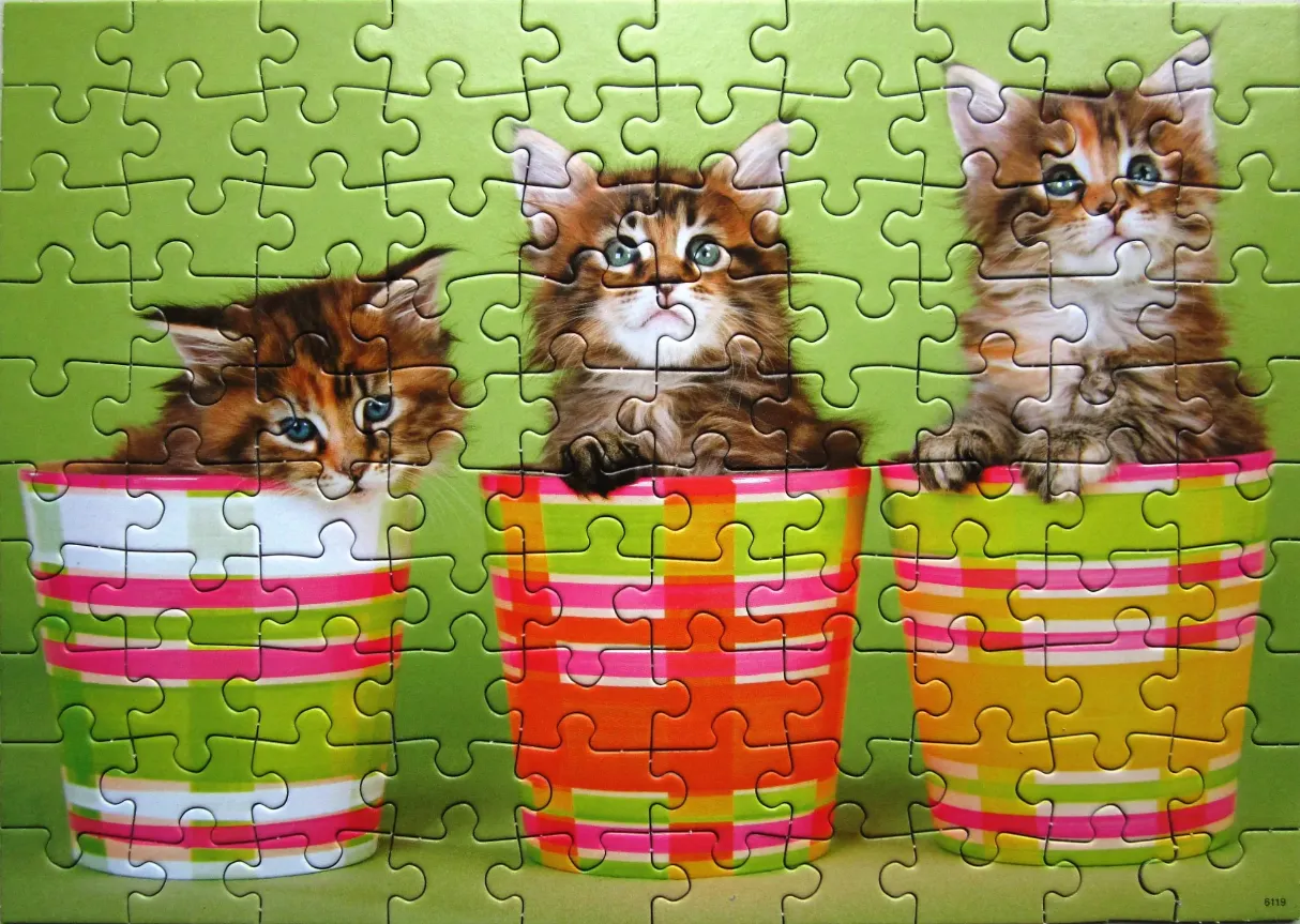 Three fluffy kittens peeking out of vibrant, plaid-patterned buckets against a bright green background.