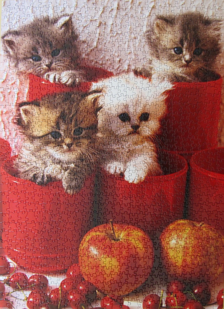 Four fluffy kittens sitting in red buckets surrounded by apples and cherries