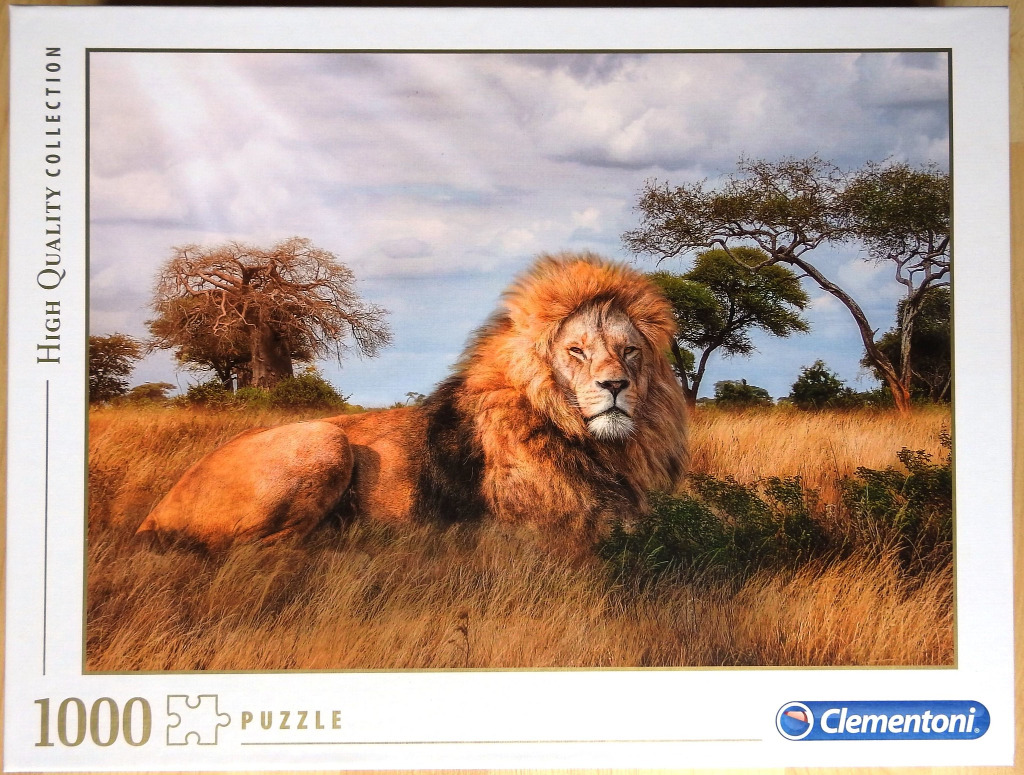 A male lion resting in golden savannah grass under a cloudy sky.