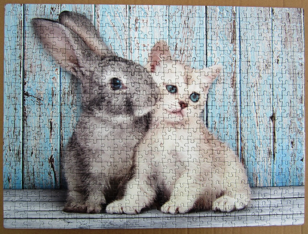 A fluffy grey rabbit and a small cream-coloured kitten sitting side by side against a rustic light blue wooden wall.