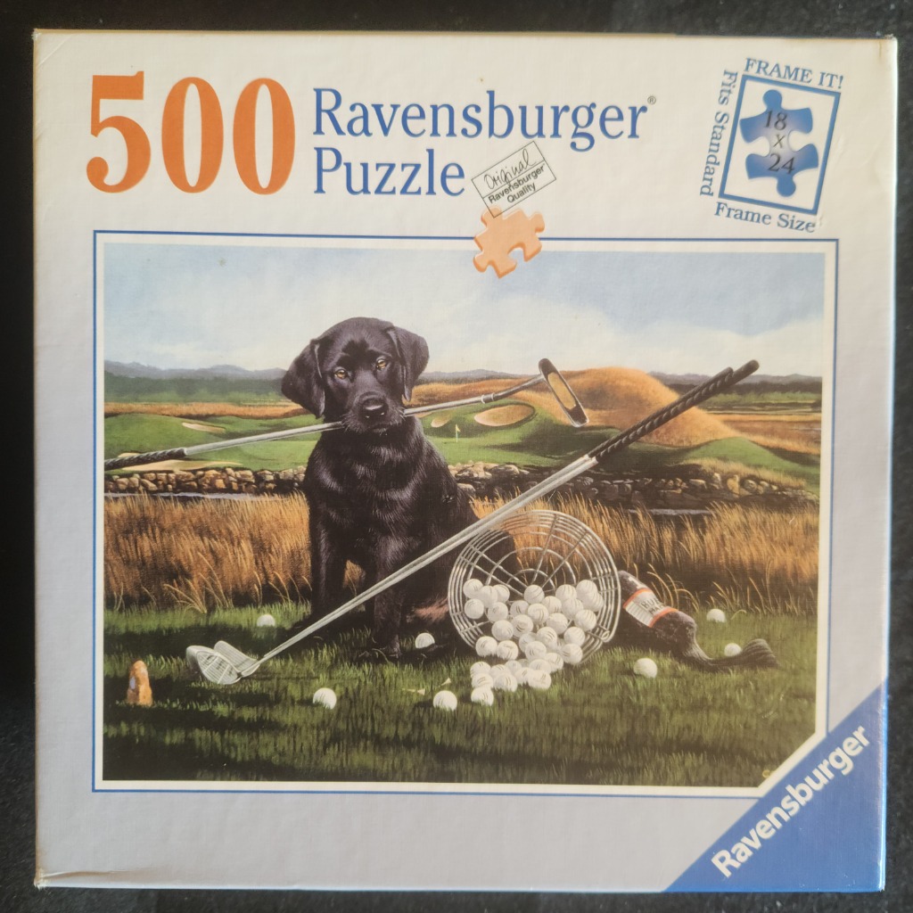 A black Labrador dog sitting on a golf course holding a putter in its mouth near a bucket of golf balls.