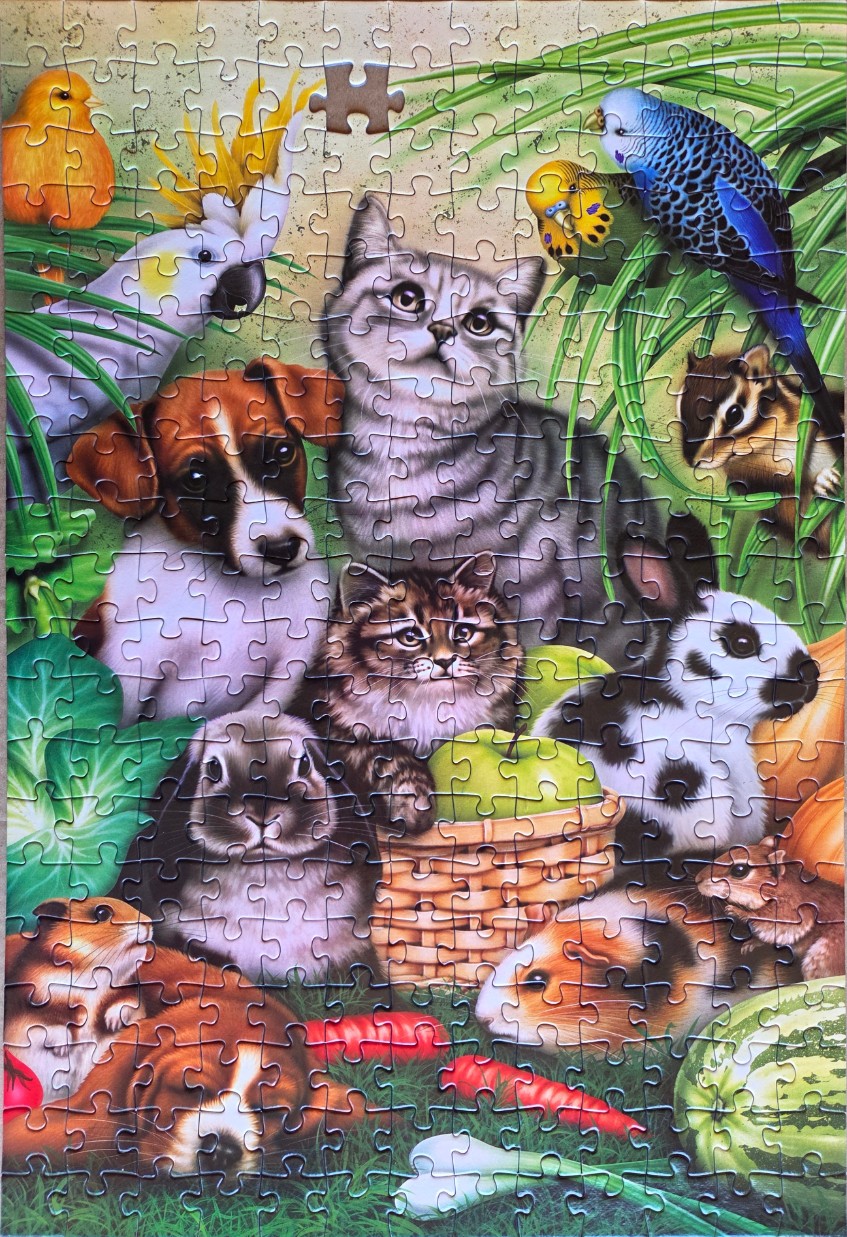 A whimsical illustration of various pets and animals including cats, dogs, a rabbit, and birds gathered in a garden.
