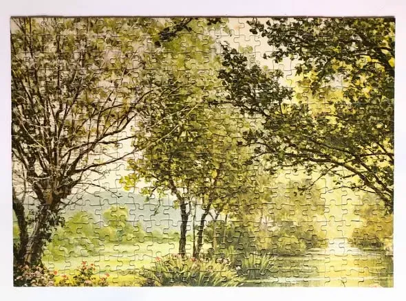 Meadow Stream