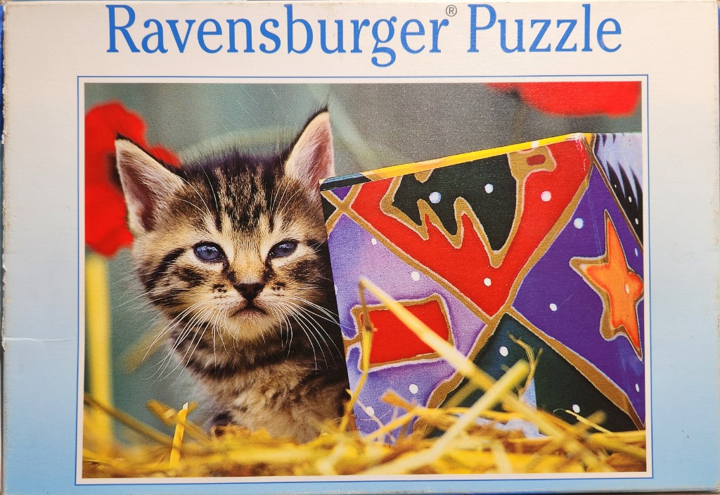 A close-up photograph of a small tabby kitten peeking from behind a colorful, patterned box in a straw-filled setting.