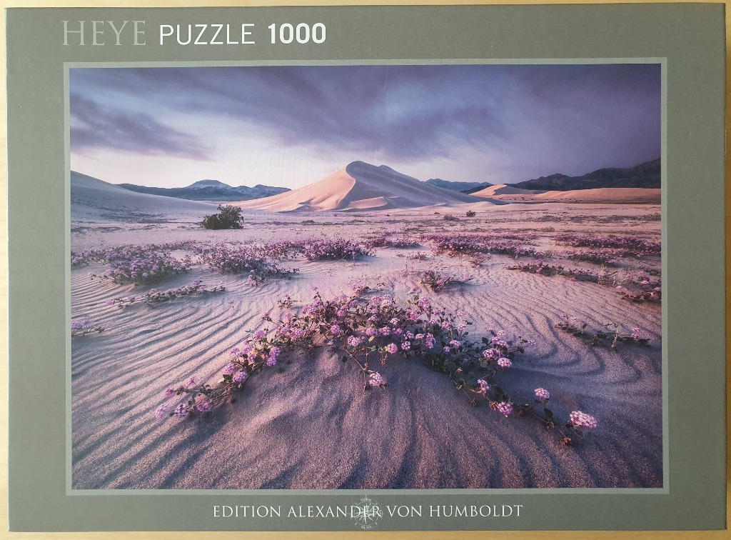 A photograph of a vast desert landscape with sand dunes and purple wildflowers under a moody, twilight sky.
