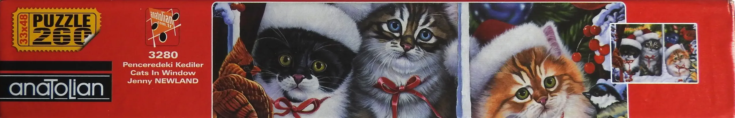 Cats in Window
