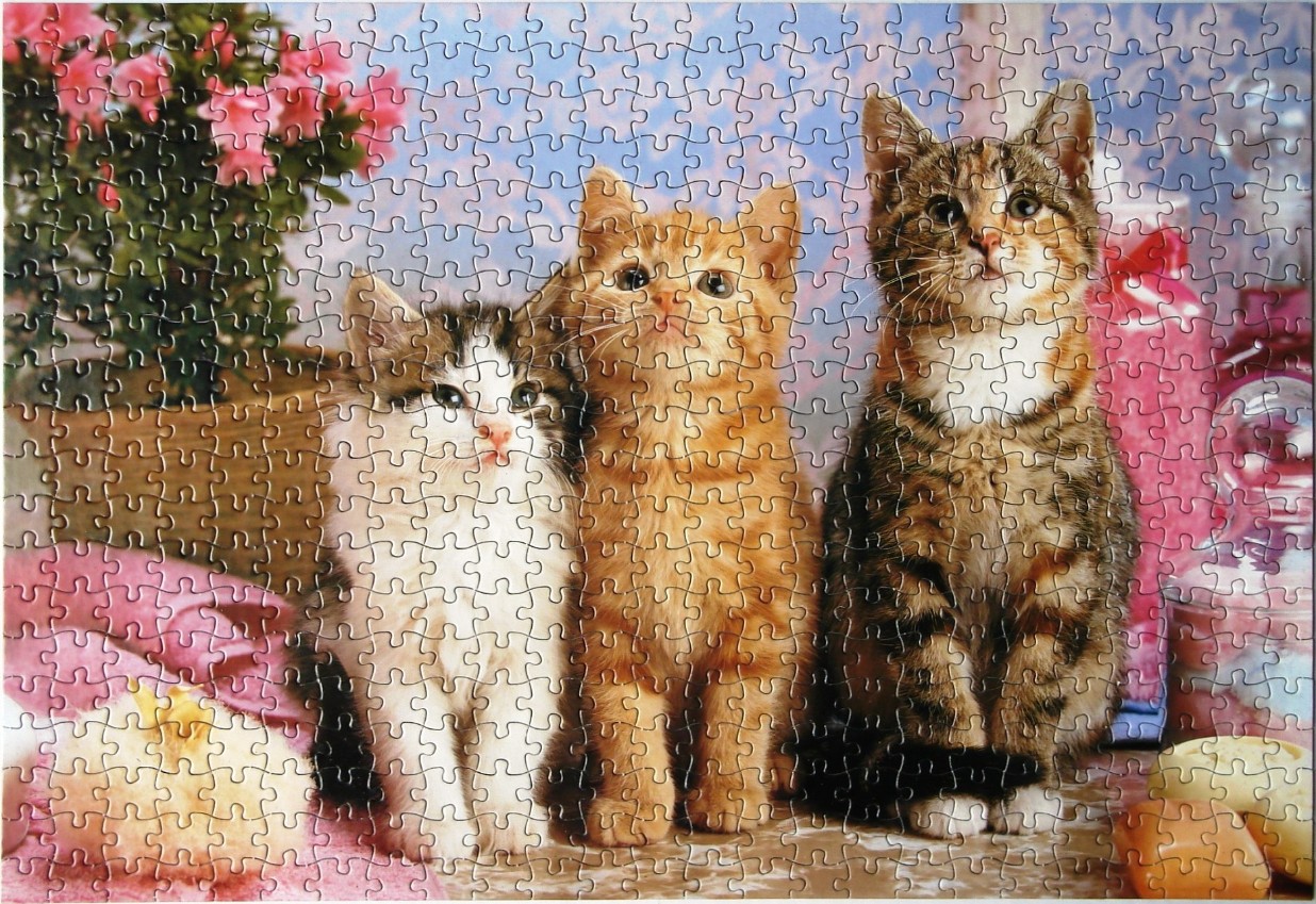 Three fluffy kittens sitting together surrounded by flowers and bath accessories.