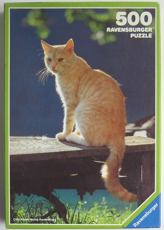 A ginger tabby cat sitting on a wooden bench outdoors in sunlight.