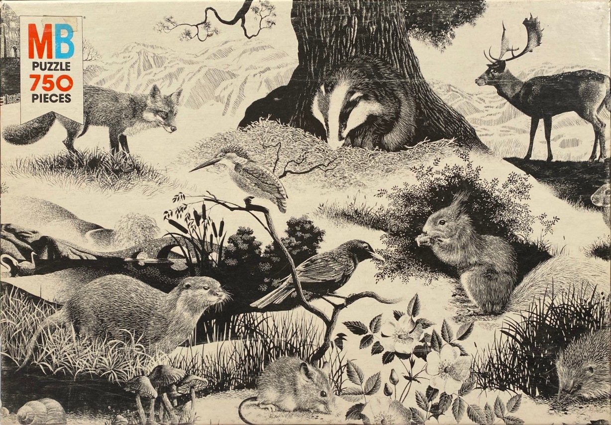 Detailed black and white ink illustration of woodland animals in a natural habitat