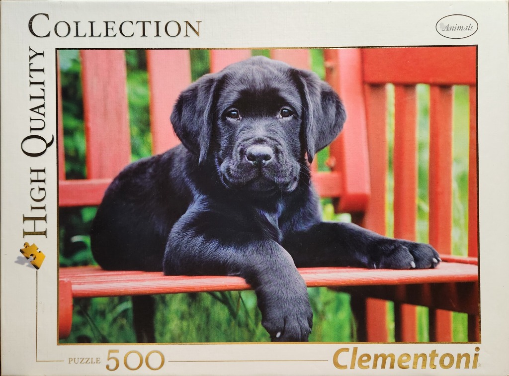 A close-up photograph of a black Labrador puppy sitting on a bright red wooden garden bench.