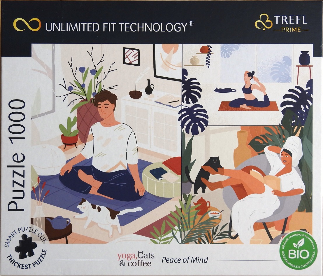Digital illustration showing two domestic scenes of people relaxing with cats, doing yoga and reading.