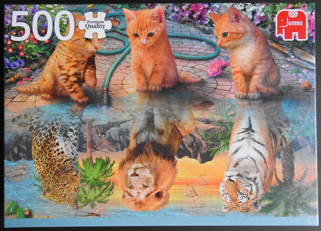 Three ginger kittens sitting on a patio, with their reflections shown as a leopard, a lion, and a tiger.