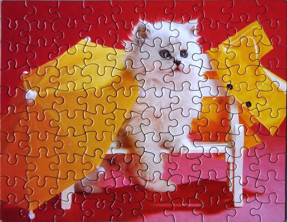 A fluffy white kitten sits on a small white wooden chair, framed by a large yellow ribbon against a vibrant red background.