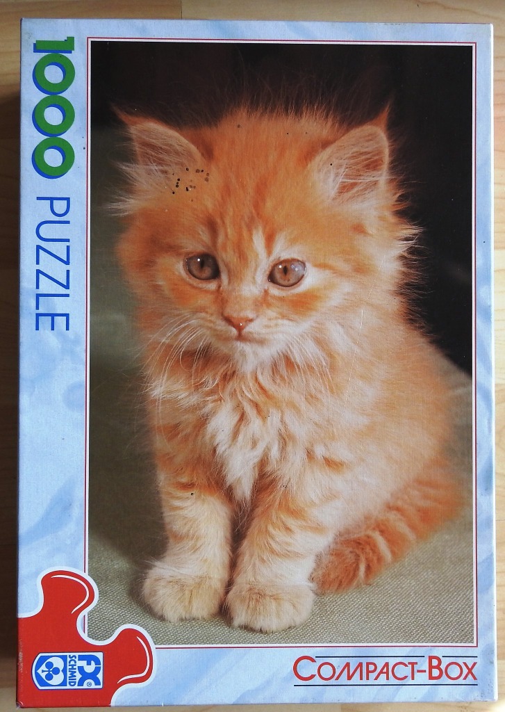 A fluffy ginger kitten sitting against a dark background.
