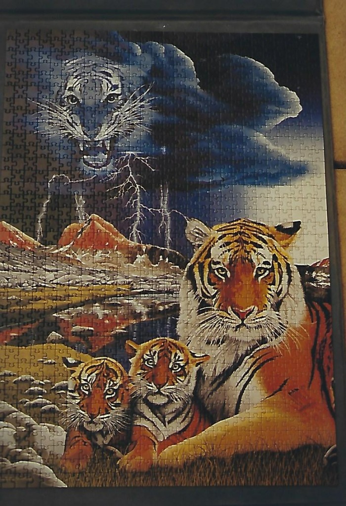 An illustration of a mother tiger and two cubs in a stormy mountain landscape with a ghostly tiger face in the clouds.