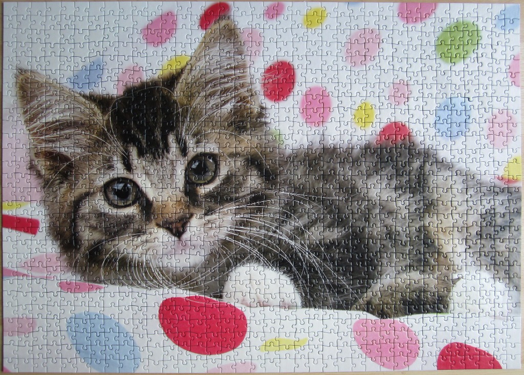 Close-up of a fluffy brown tabby kitten resting against a white background filled with colourful, translucent polka dots.