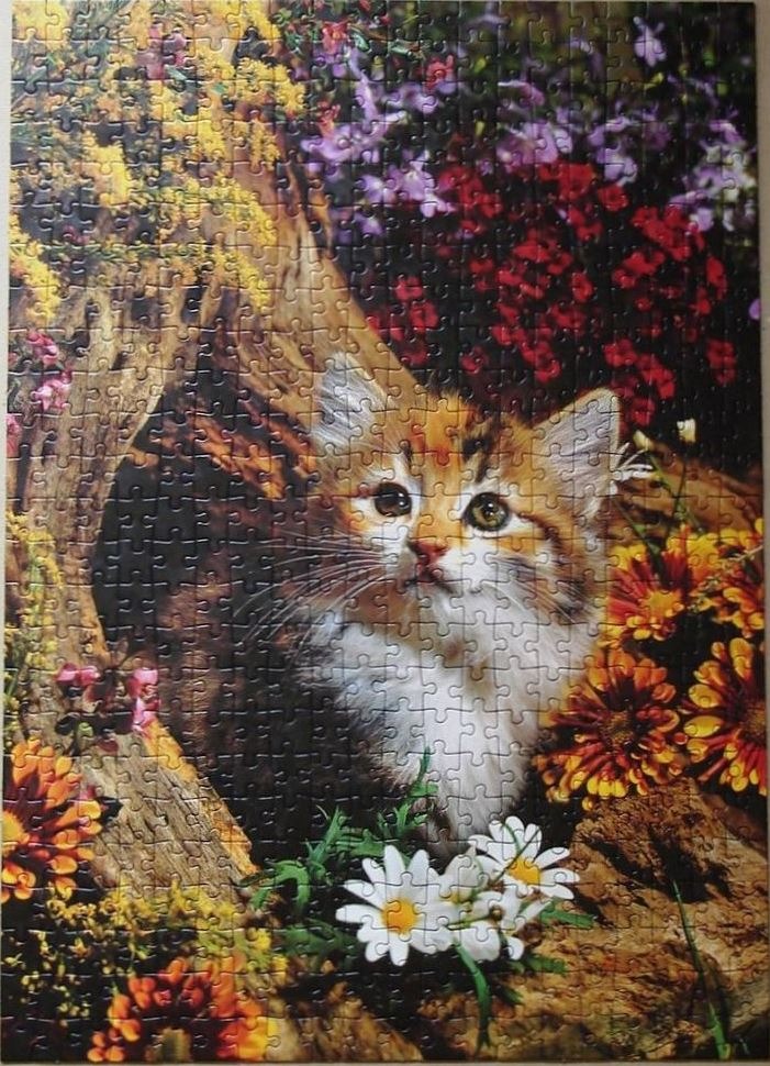 A fluffy calico kitten peeking out from behind a wooden log surrounded by vibrant garden flowers.