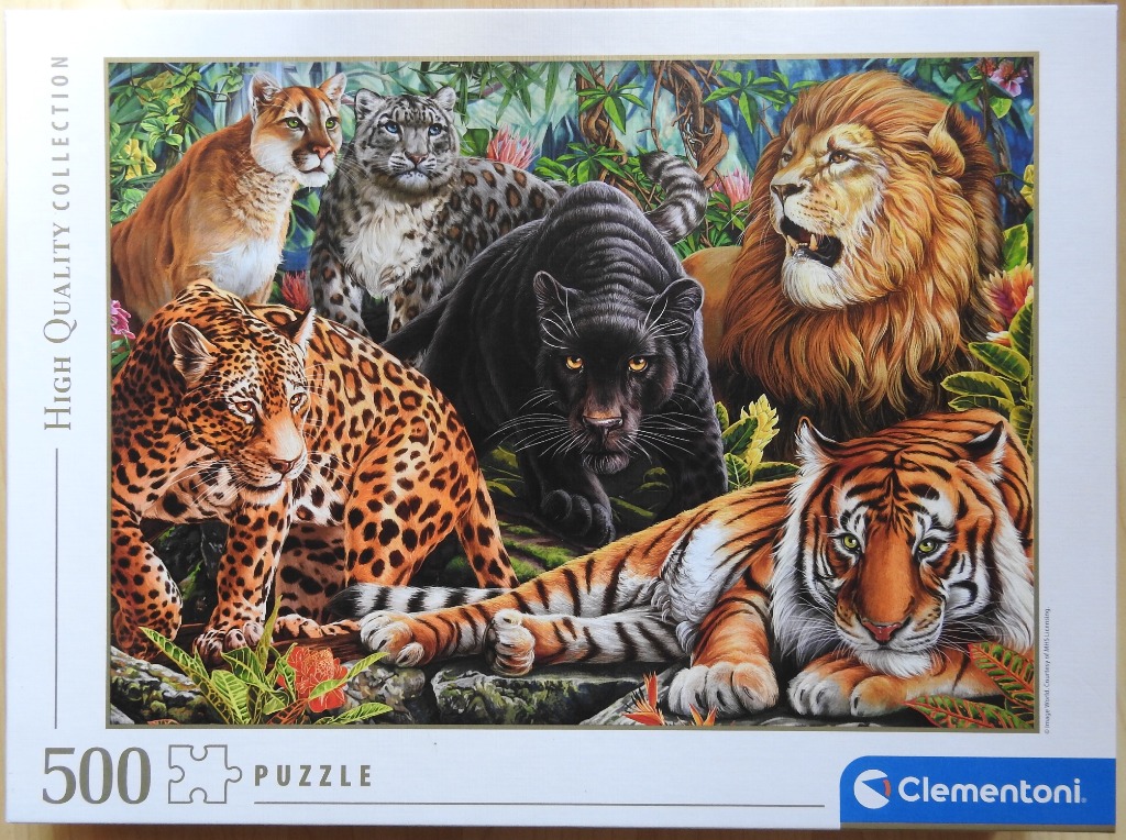 An illustration of six large wild cats, including a lion, tiger, leopard, and panther, set in a lush jungle environment.
