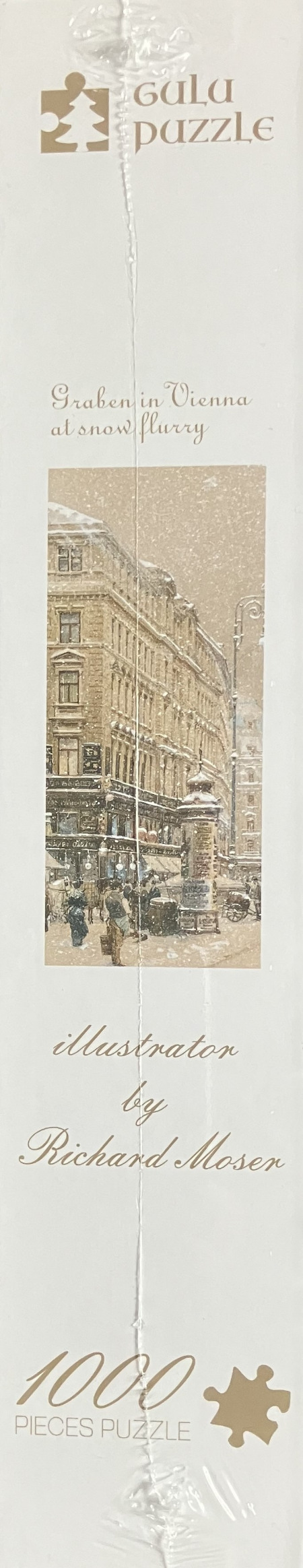 Graben in Vienna at Snow Flurry