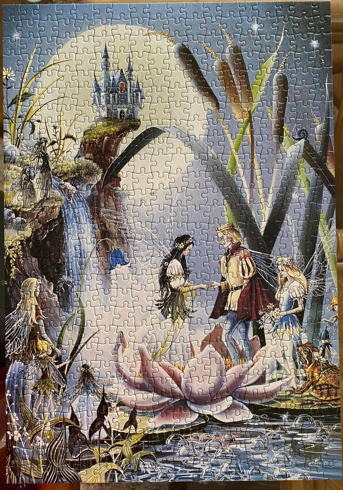 A fantasy illustration of a prince and fairy standing on a giant water lily before a castle under a full moon.