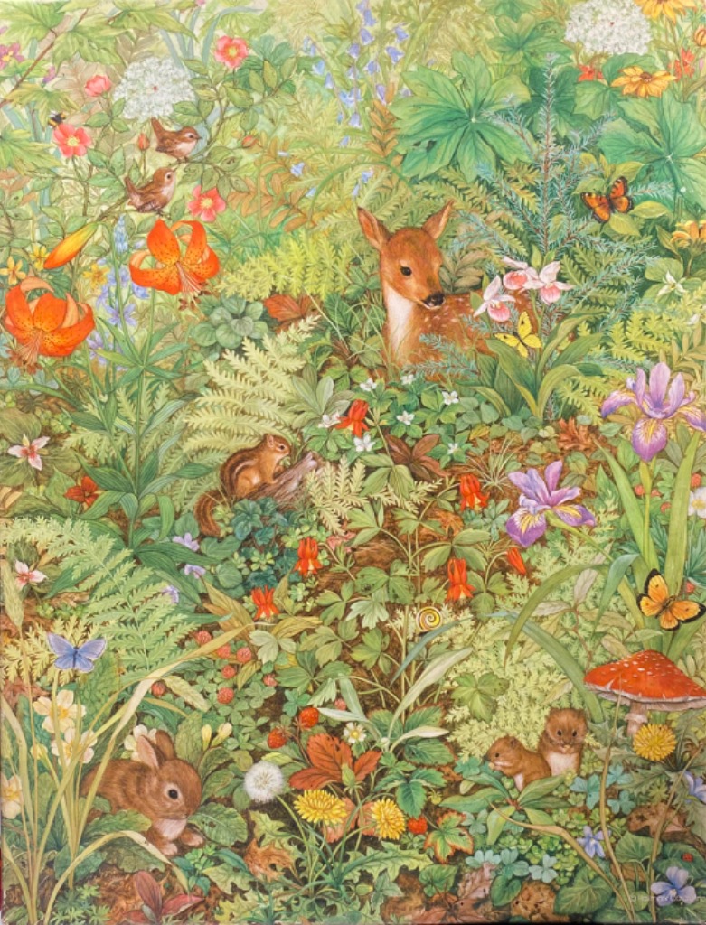 A lush, detailed illustration of a woodland scene filled with diverse wildlife, wildflowers, and ferns.