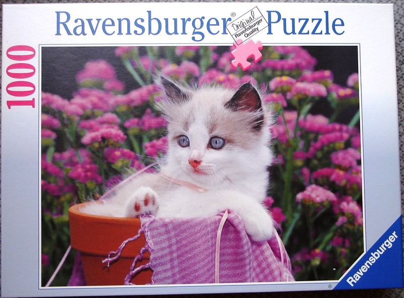 A fluffy, white and grey kitten sitting in a terracotta pot surrounded by bright pink flowers.