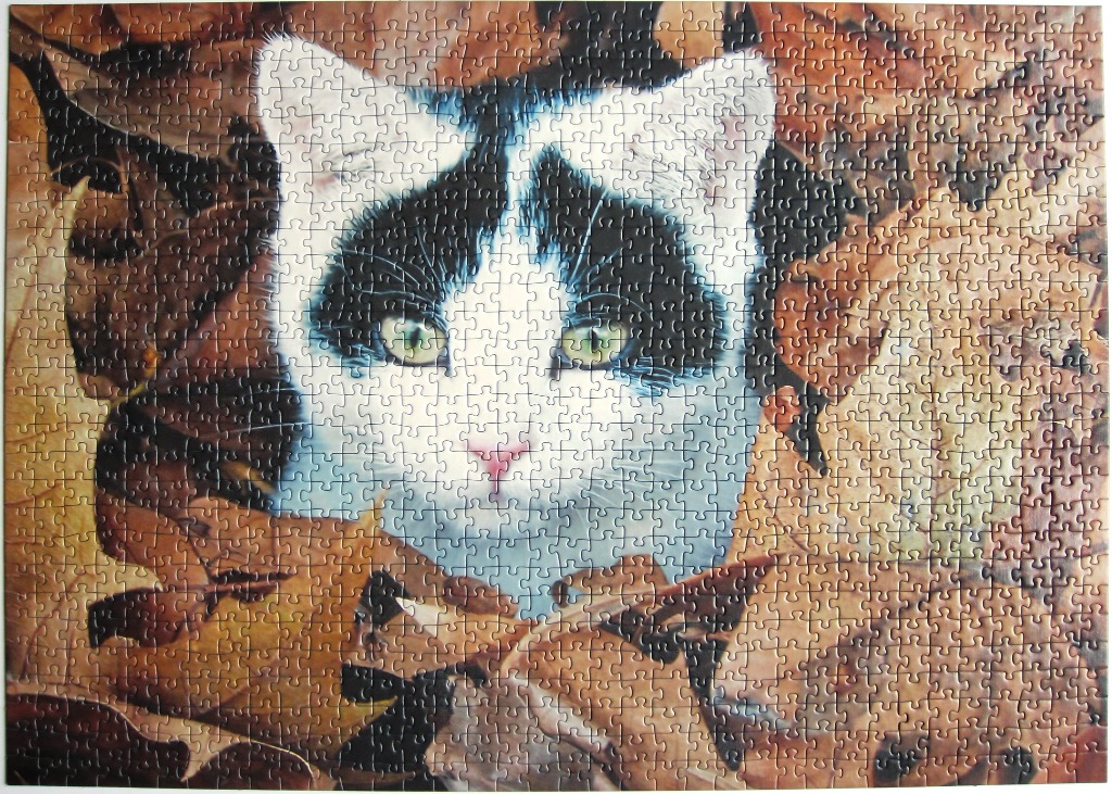 A black and white cat peeking out from a bed of fallen autumn leaves.