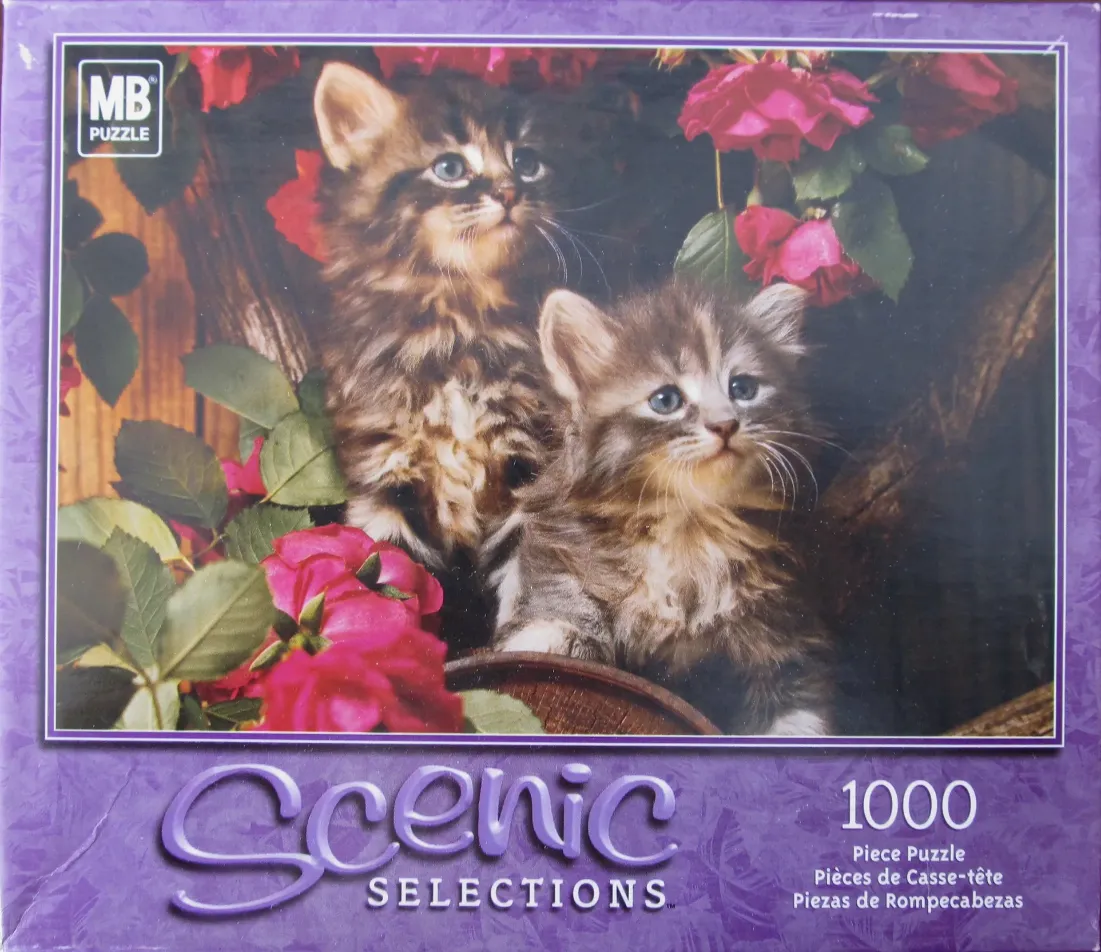 Two fluffy tabby kittens sitting together amongst vibrant pink roses.