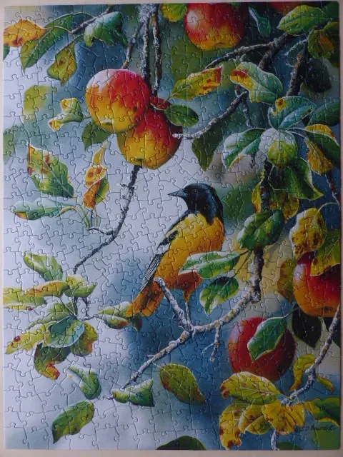 An illustration of a Baltimore oriole perched on an apple tree branch laden with fruit and autumn leaves.