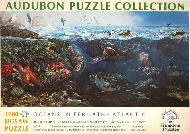 A detailed illustration of Atlantic Ocean marine life, featuring surface birds and underwater aquatic animals.