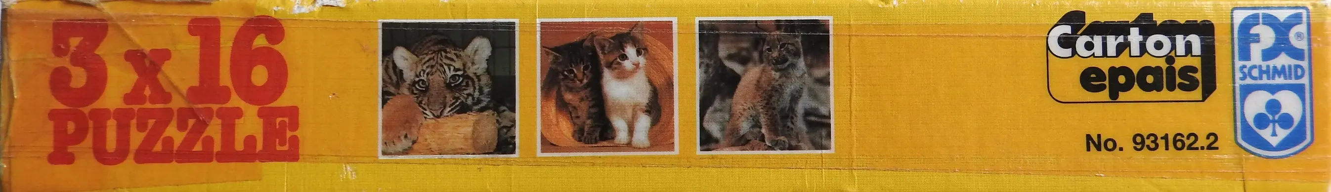 Große und kleine Katzen