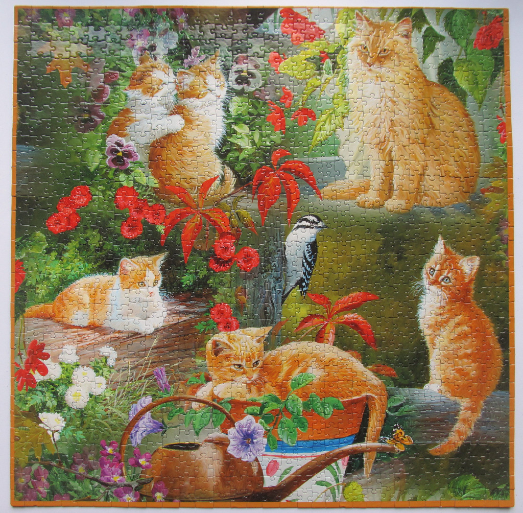 Five orange tabby cats in a lush garden setting with a woodpecker and a watering can.