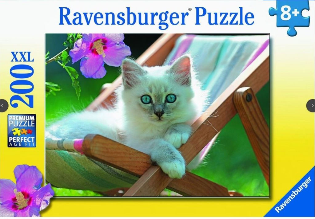A fluffy white kitten with striking blue eyes resting on a wooden garden lounge chair next to a bright purple flower.