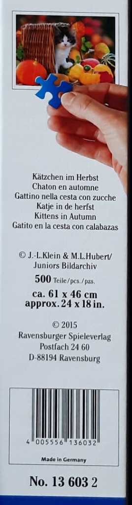 Kätzchen im Herbst