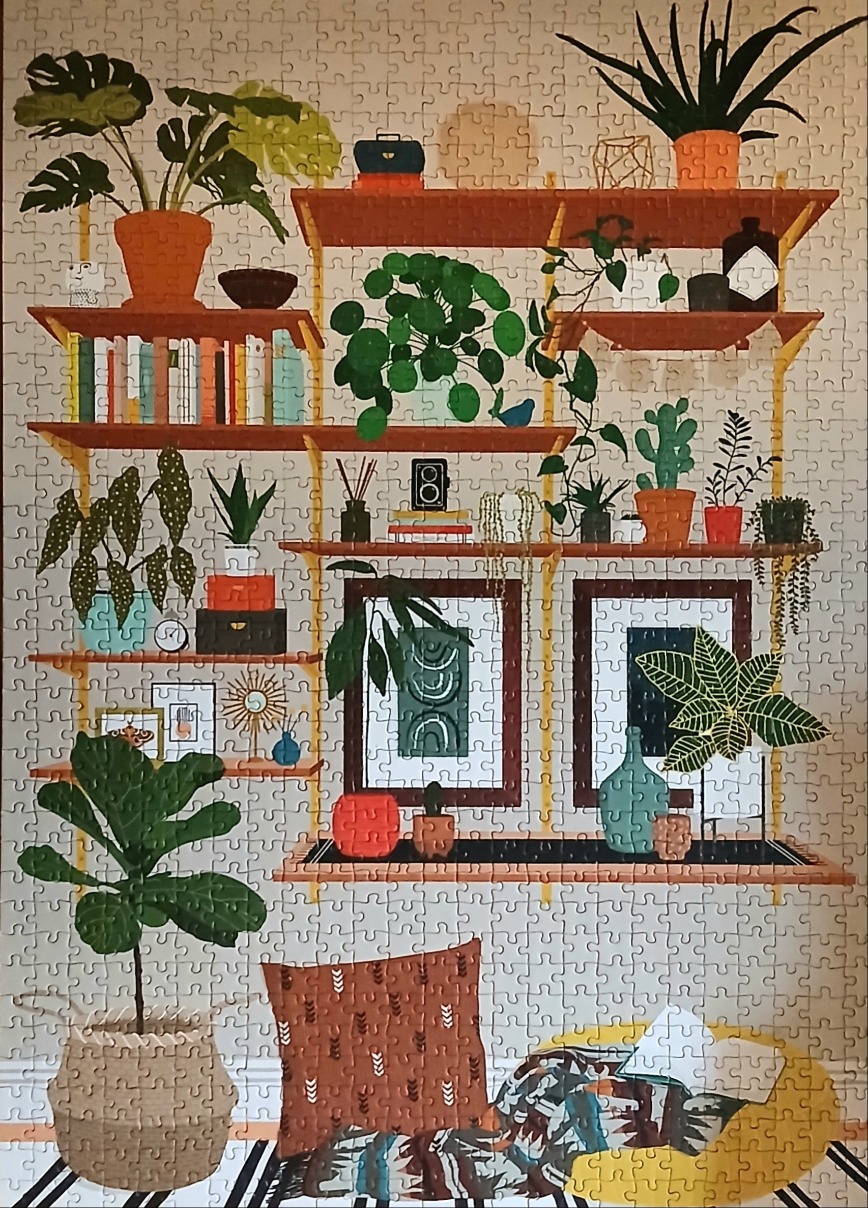 Illustration of an organized wall shelving unit filled with potted plants, books, art, and cozy floor seating.